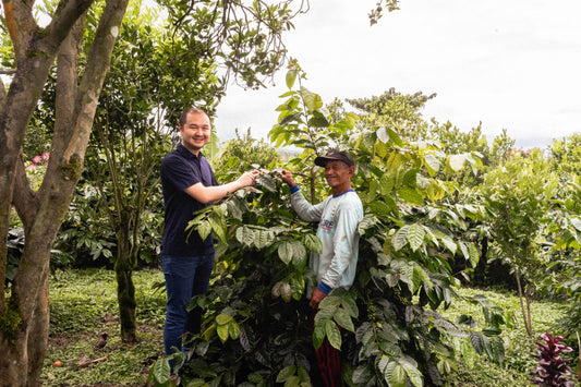 Rasa dan Kualitas Kopi Perusahaan Roastery Indonesia Diakui Dunia, Ini Buktinya