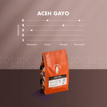 Aceh Gayo