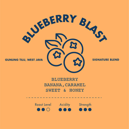 Blueberry Blast