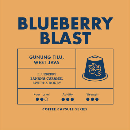 Coffee Capsule - Blueberry Blast